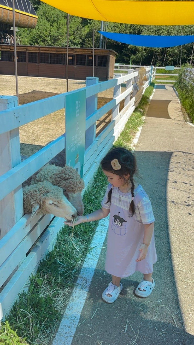  2025 7/27-28 곤지암 리조트 1박2일