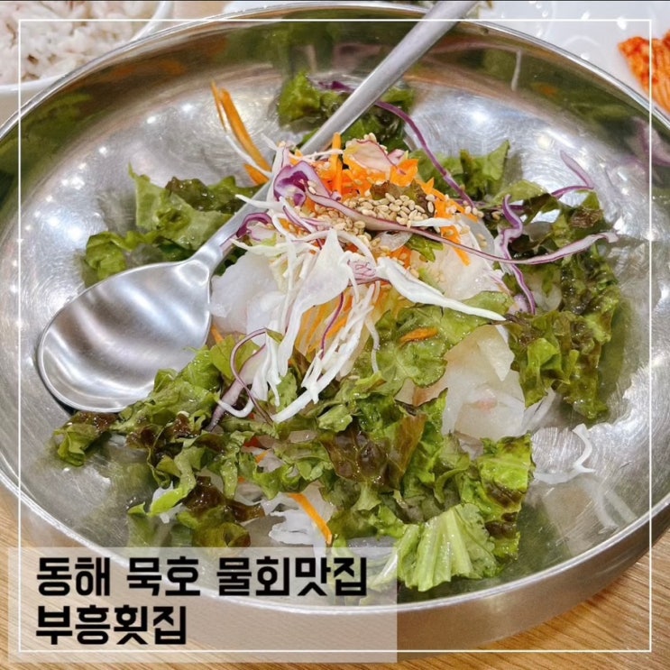  동해 묵호 물회 맛집 부흥횟집 물회 혼밥 후기