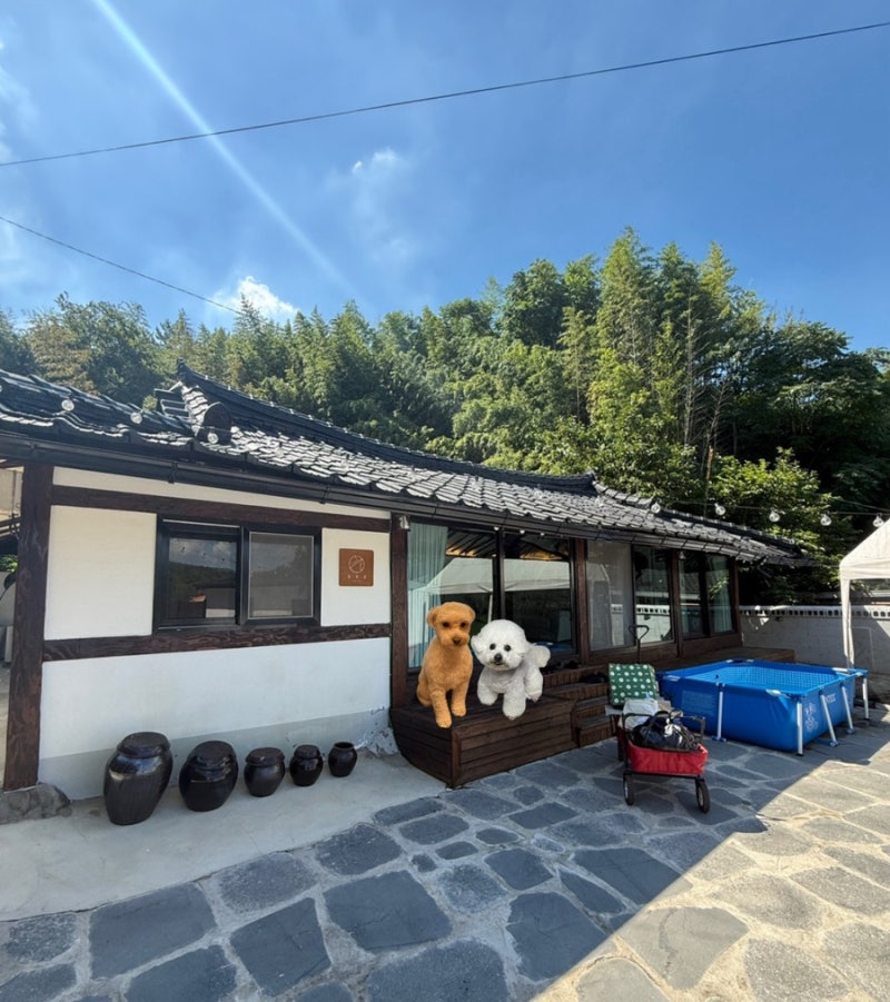 사진 4