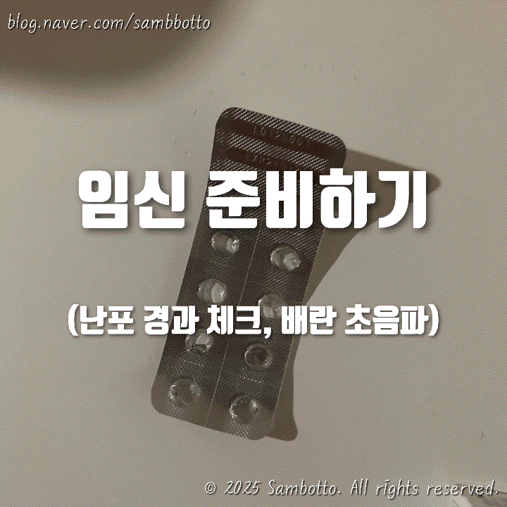  난포 터지는 주사 맞고 3일 후에 경과 보러 병원 재방문