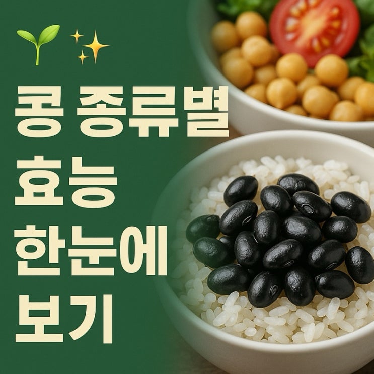  콩 종류별 효능과 활용법 총정리 | 건강에 좋은 콩 제대로 먹는 법