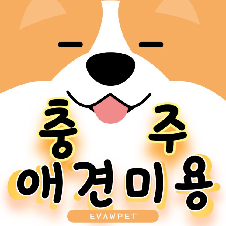  충주애견미용학원 – 실전 중심 커리큘럼과 미래 진로까지 한눈에