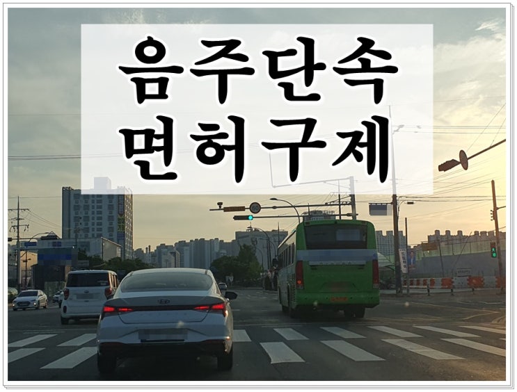  대전 음주단속 생계형 면허구제 가능성 파악이 우선