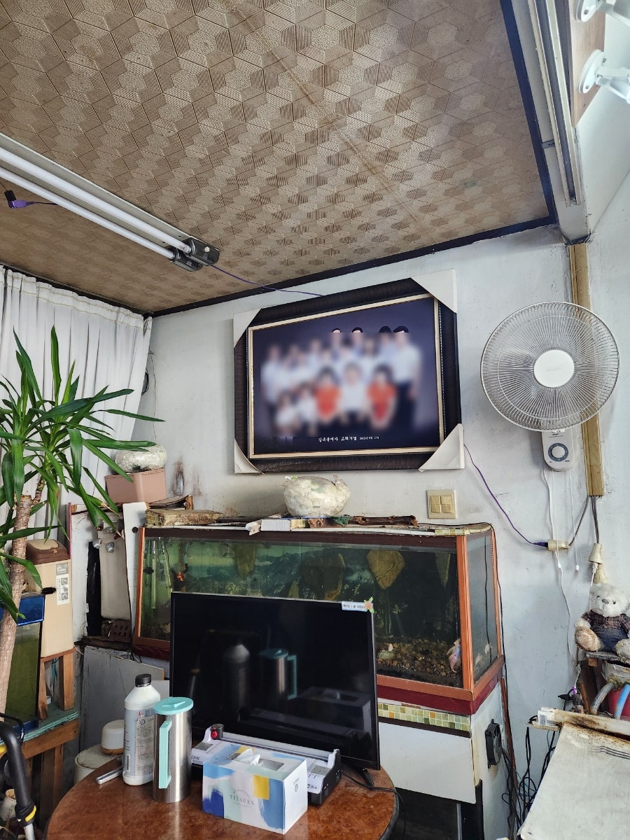 미향사진관 사진 5
