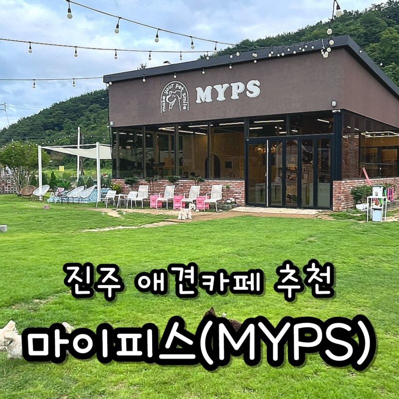 마이피스 — 진주시