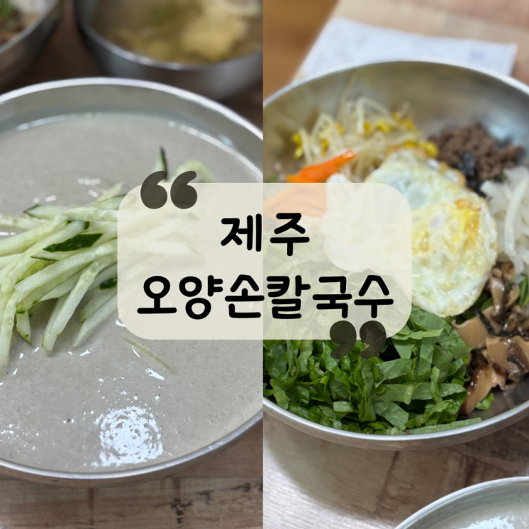  [제주 맛집] 도민 찐 맛집! 제주시 버스터미널 찰보리비빔밥, 검은콩국수 맛집 "오양손칼국수"