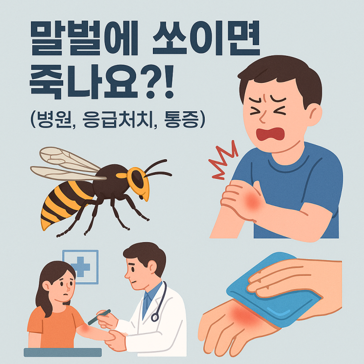  말벌에 쏘이면 죽나요?! (병원, 응급처치, 통증)