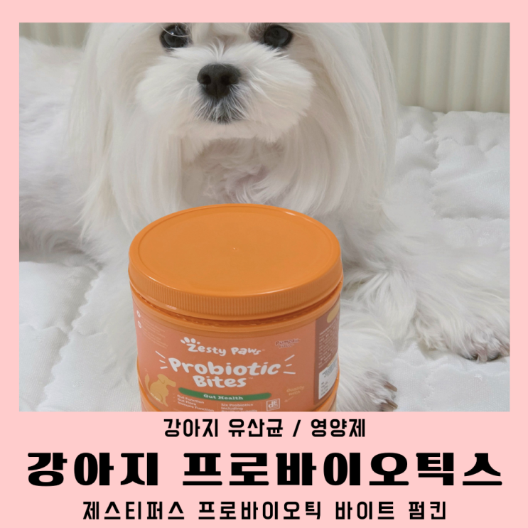  강아지유산균 제스티퍼스 NASC 인증 영양제 프로바이오틱 바이트