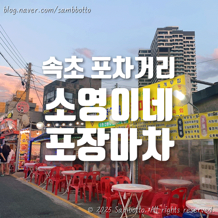  [내돈내산] 속초 동명항 포차거리, '소영이네'