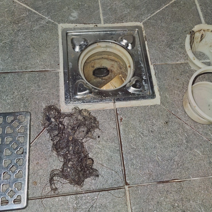  [청소리뷰] 하수구막힘 전주변기막힘, 고압세척기로 빠른 문제 해결