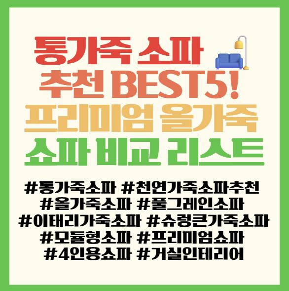  통가죽 소파 추천 BEST5! 이태리 슈렁큰부터 소프트터치까지 프리미엄 올가죽 쇼파 비교 리스트 ️ 필독! <소파연구소/정직한소파>