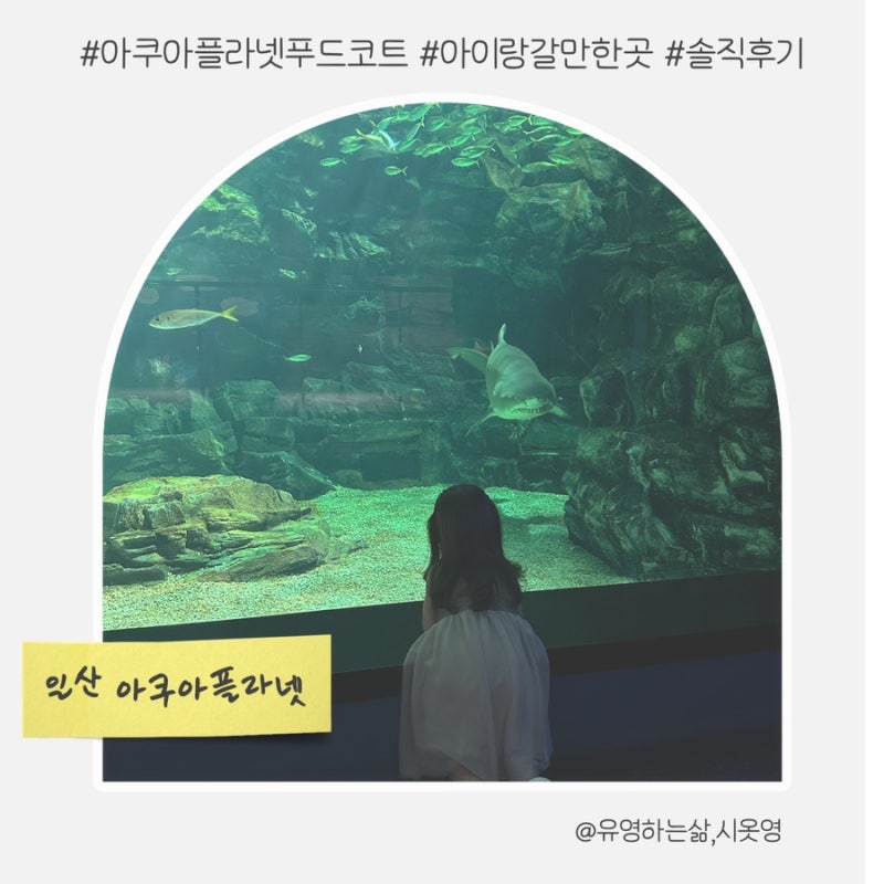 일산 아이랑 갈만한 곳 아쿠아플라넷 푸드코트 식당 솔직 후기