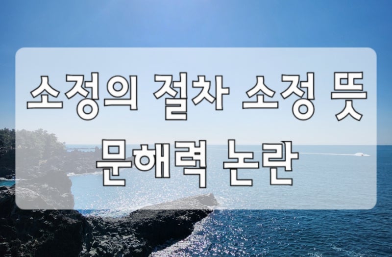 소정의 절차 뜻 소정 뜻 배현진 문해력 논란