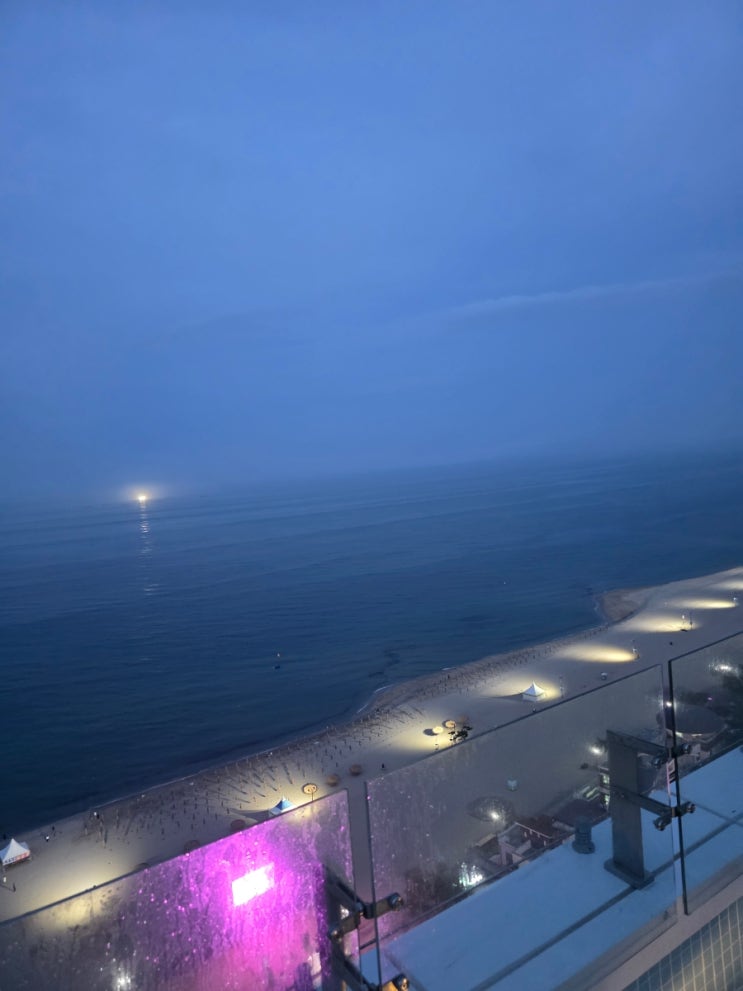  낙산 해수욕장 앞 쏘타스위트 양양에서 보낸 완벽한 마지막 밤 — 인피니티풀부터 치킨 맥주 야식까지!