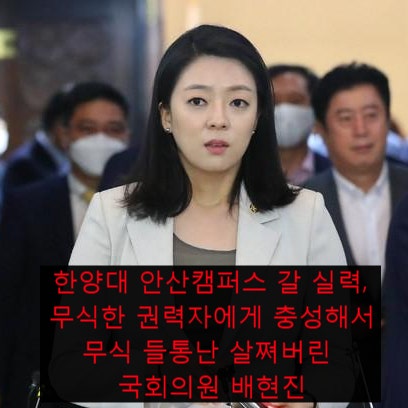 ■소정의 절차 없이 당선된 배현진, 아나운서 취직도 의문