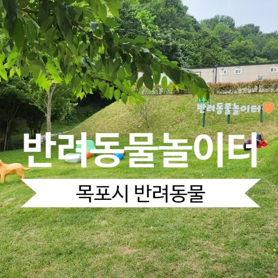 목포시반려동물놀이터