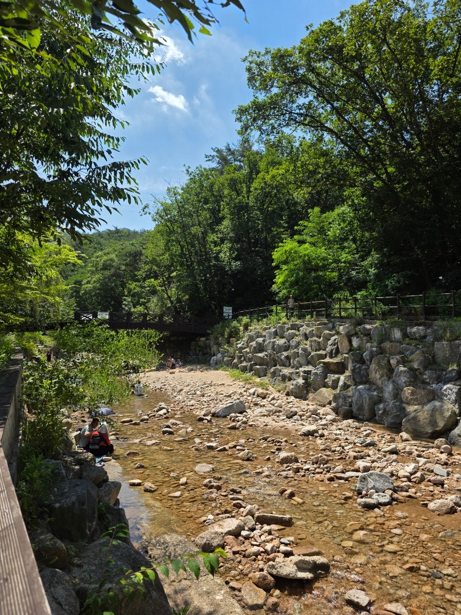 두리락 사진 1