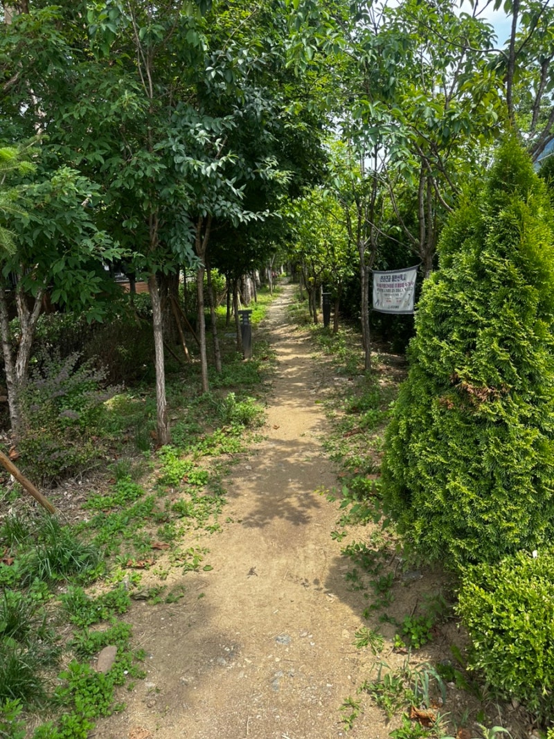 사진 4