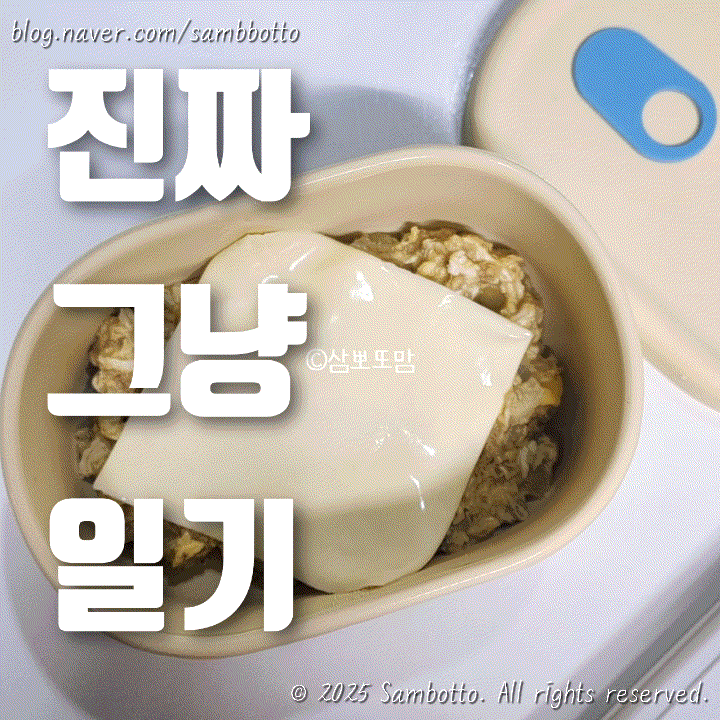  진짜 그냥 일기 | 평범한 일상, 양파오트밀, 에어프라이어로 삼겹살 구워먹기