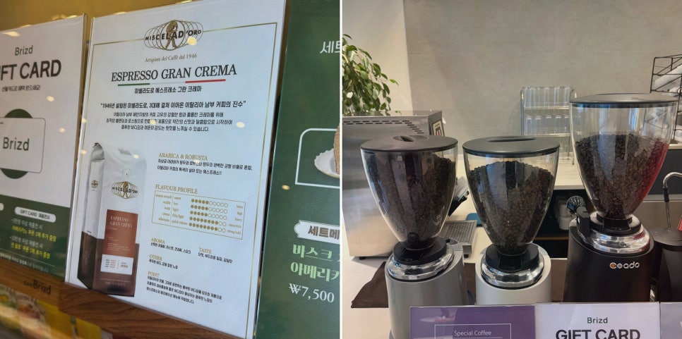 브리즈드 사진 1