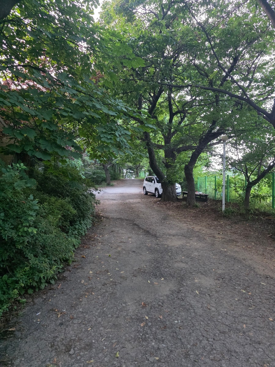솔밭집 사진 2