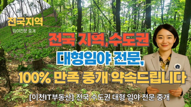 [이천IT부동산] 전국 수도권 대형 임야 전문! 찾으시는 모든 임야를 중개합니다