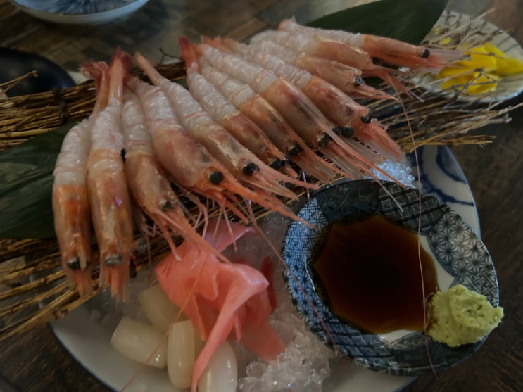  [고려대역] 달달한 단새우가 맛있는 고려대 이자카야 추천 <훈>
