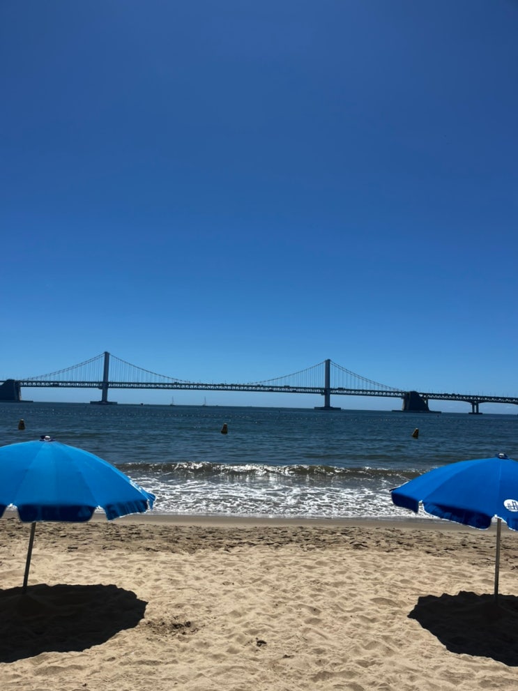  [부산 여행/광안리 수영, 광안리해양레포츠센터 모터보트]_2025.07.25