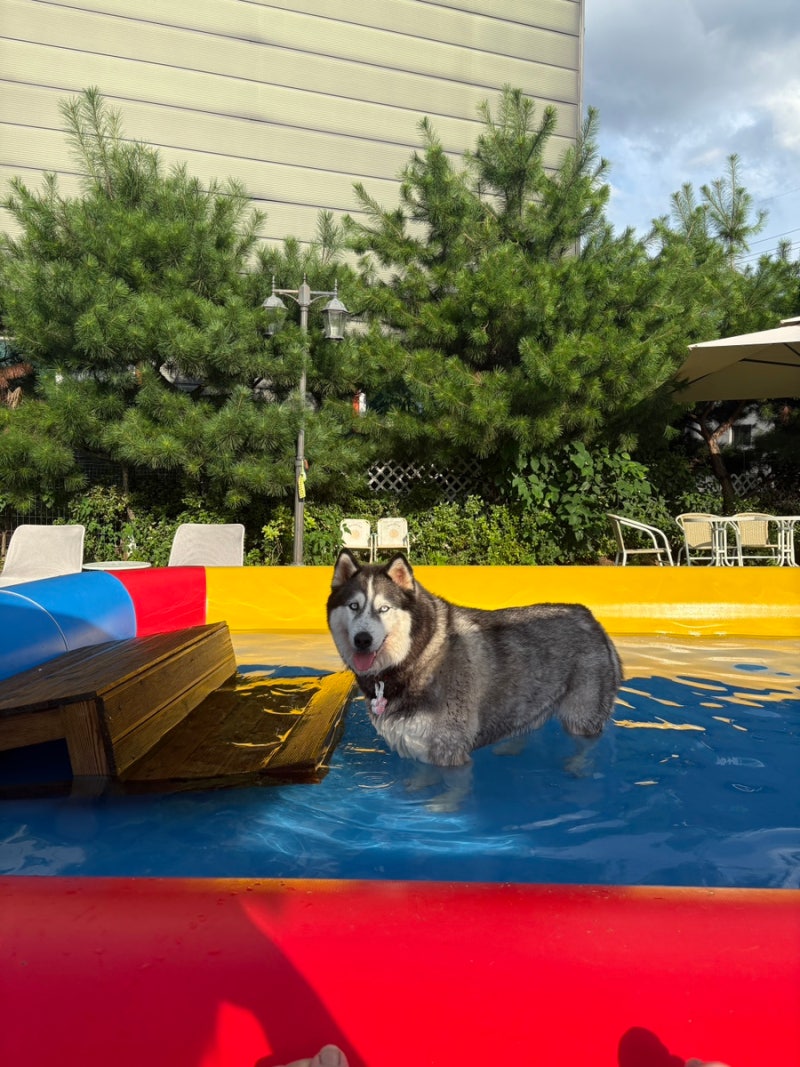사진 3