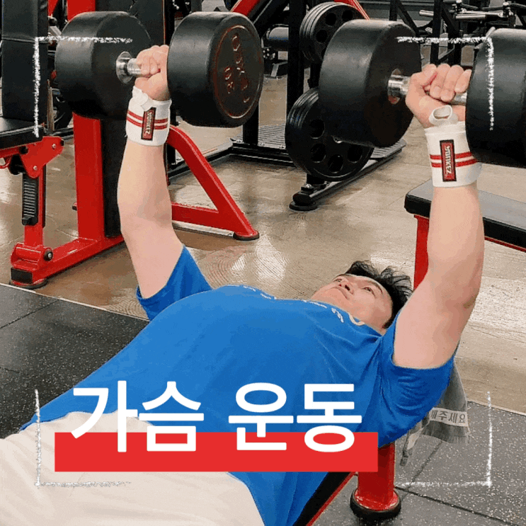  프리웨이트 플랫 덤벨 벤치프레스 자세 및 포인트 제대로 배우기