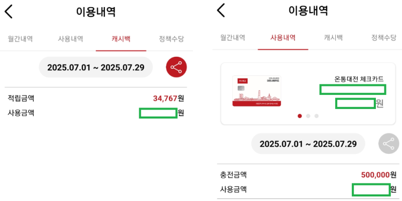 25.07 대전지역화폐 캐시백 적립불가 매장 목록: 성심당, 대전역입점매장, 택시 등