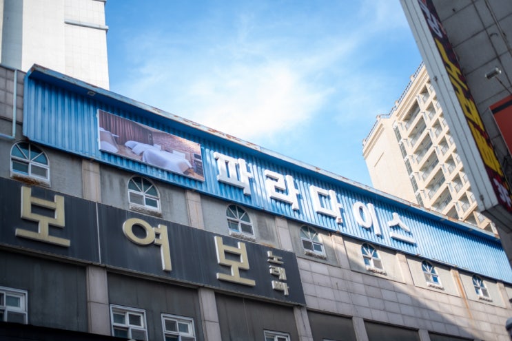  재미와 위생, 세심한 배려까지 완벽한 파라다이스 호텔 이용 후기