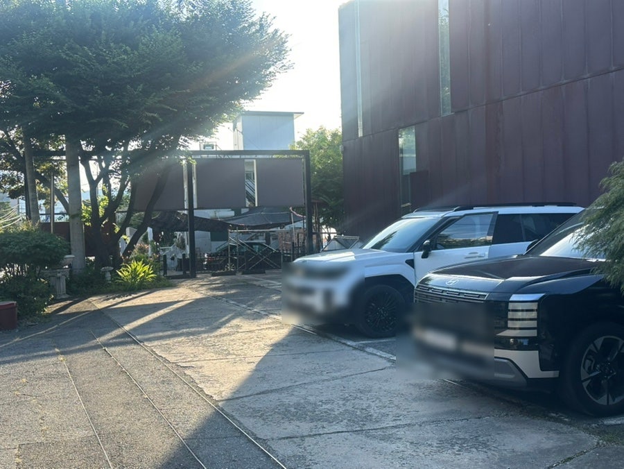 더비 사진 2