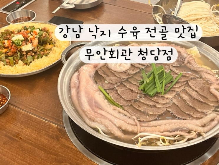  [강남 청담 선릉] 내돈내산 낙지 수육 전골 이자카야 회식 술집 보양식 맛집 무안회관