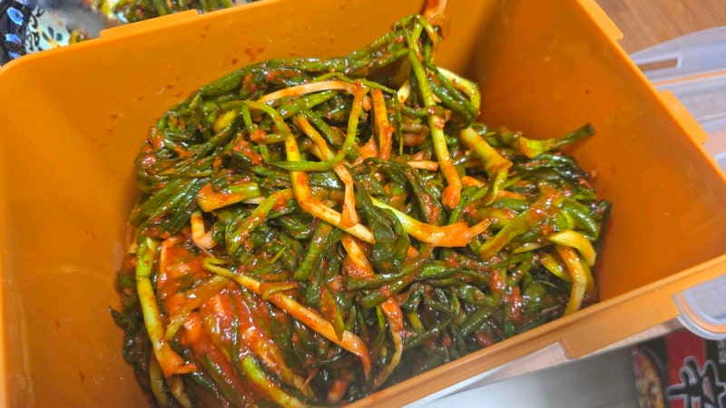 김치명가 운림가 파김치 1kg 솔직 후기