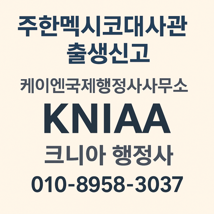  주한멕시코대사관 출생신고 절차 A to Z 까지 정리해드려요! A to Z Guide to Birth Registration at the Mexican Embassy in Kor