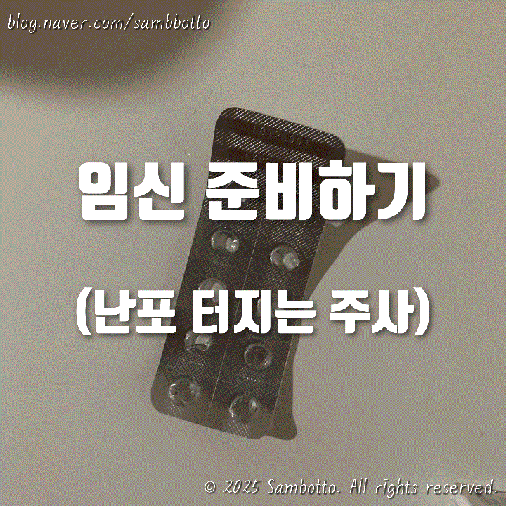  레나라정 5일 복용 후 산부인과 방문, 난포 터지는 주사 맞은 날