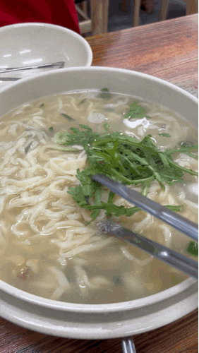  대전 물총 칼국수 맛집 / 오씨칼국수 대전도룡점