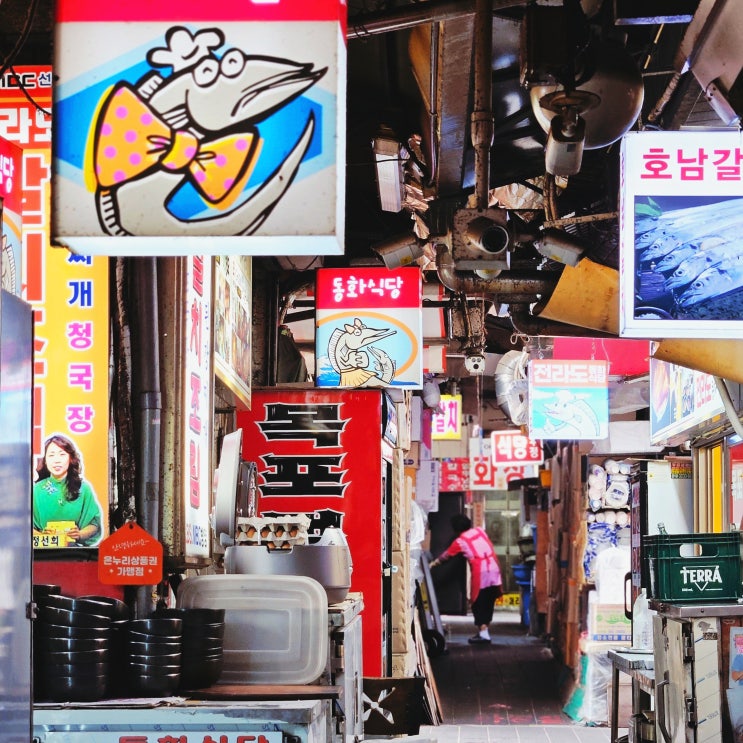  명동볼거리 남대문시장 갈치조림골목 야채호떡 어디로?