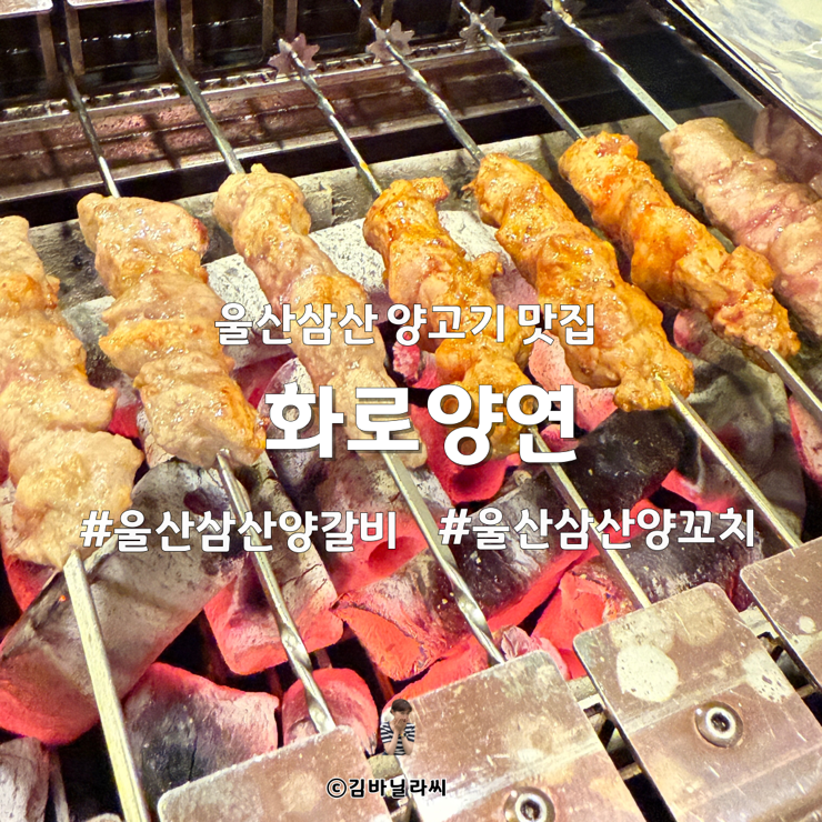  울산 삼산 양고기 맛집 화로양연 양꼬치 모임장소 술집