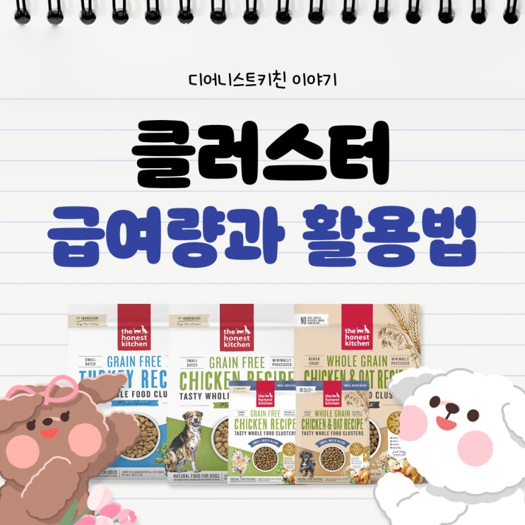  디어니스트키친 클러스터 급여량과 활용법 A to Z