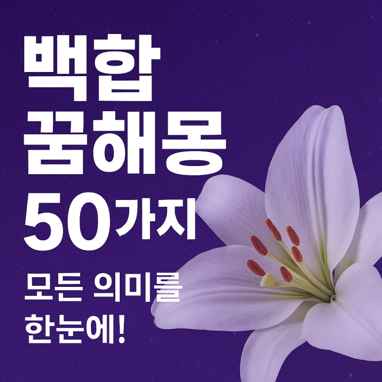  백합 꿈해몽