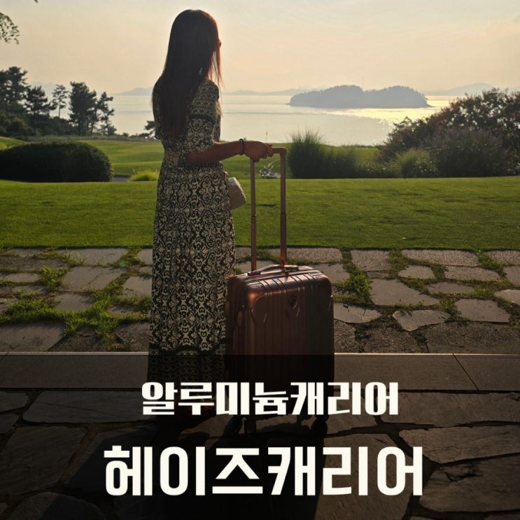  알루미늄캐리어 폴리카보네이트100%  헤이즈캐리어 20인치 골프여행 후기