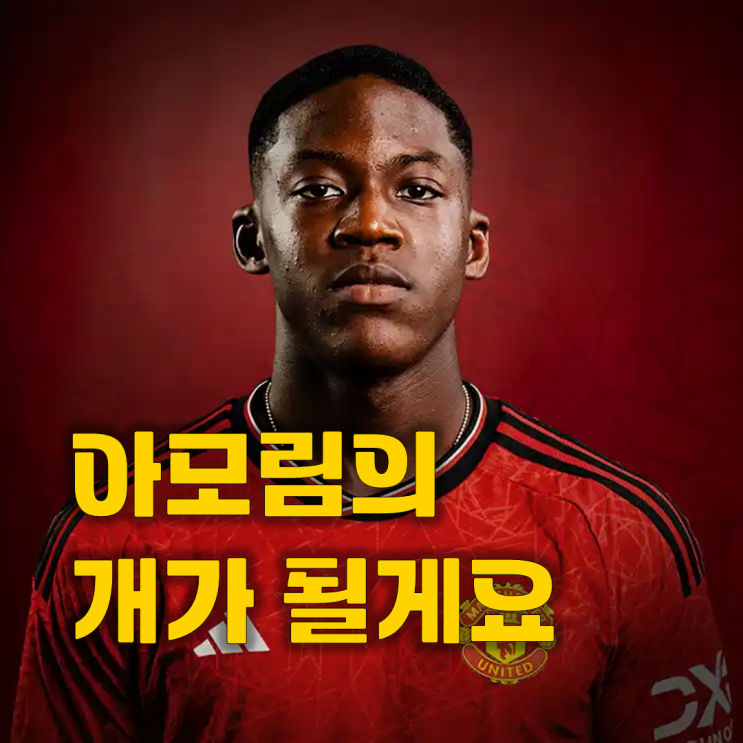 " <b>토트넘</b> 깁스화이트 대안으로 노리던 마이누까지 <b>영입 실패</b>