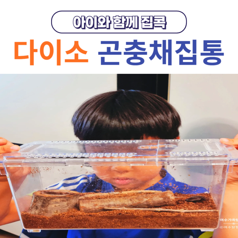 다이소 곤충채집통 사슴벌레 사육통 슬라이드 곤충 채집함 리얼 후기