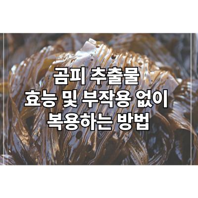  곰피 추출물 효능 및 부작용 없이 복용하는 방법
