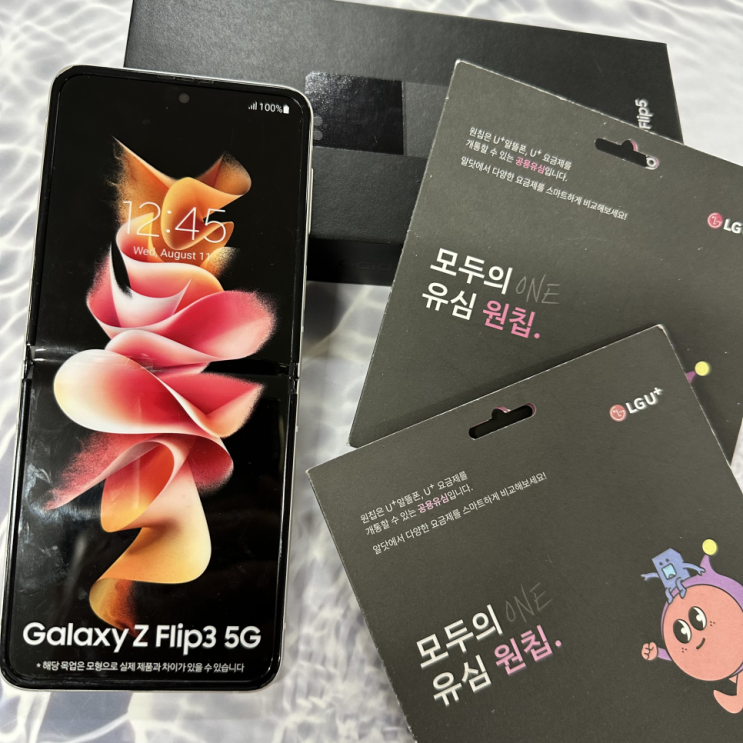  LG 선불폰 개통 모두의 원칩 유심 셀프개통 가이드