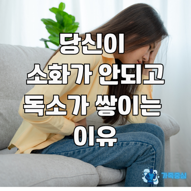  해독의 핵심. 담즙의 역할, 분비 부족 증상, 해결법 영양제까지. 과학적으로