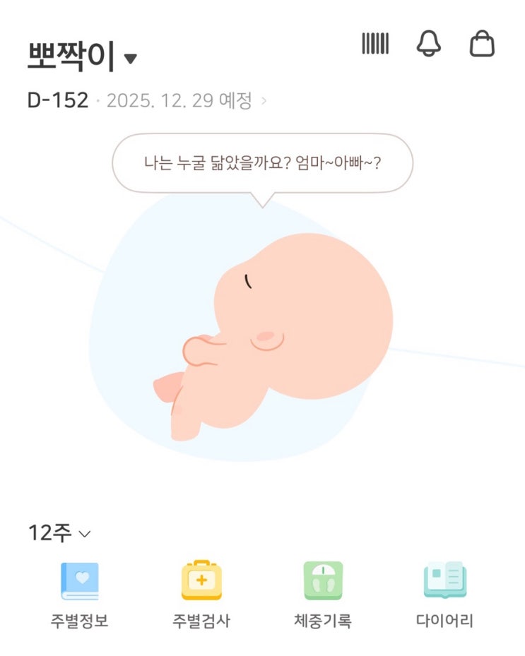  임신 12주차, 1차 기형아검사 목투명대 코뼈 각도법 성별 니프티검사 고민 후기