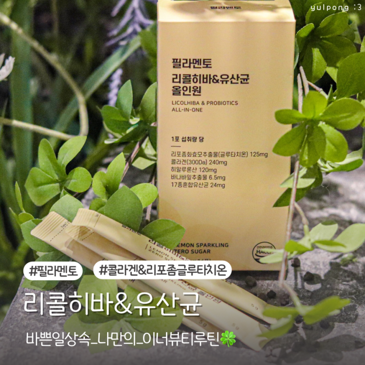  필라멘토 리콜히바&유산균 올인원 바쁜 일상 속 나만의 이너뷰티 루틴